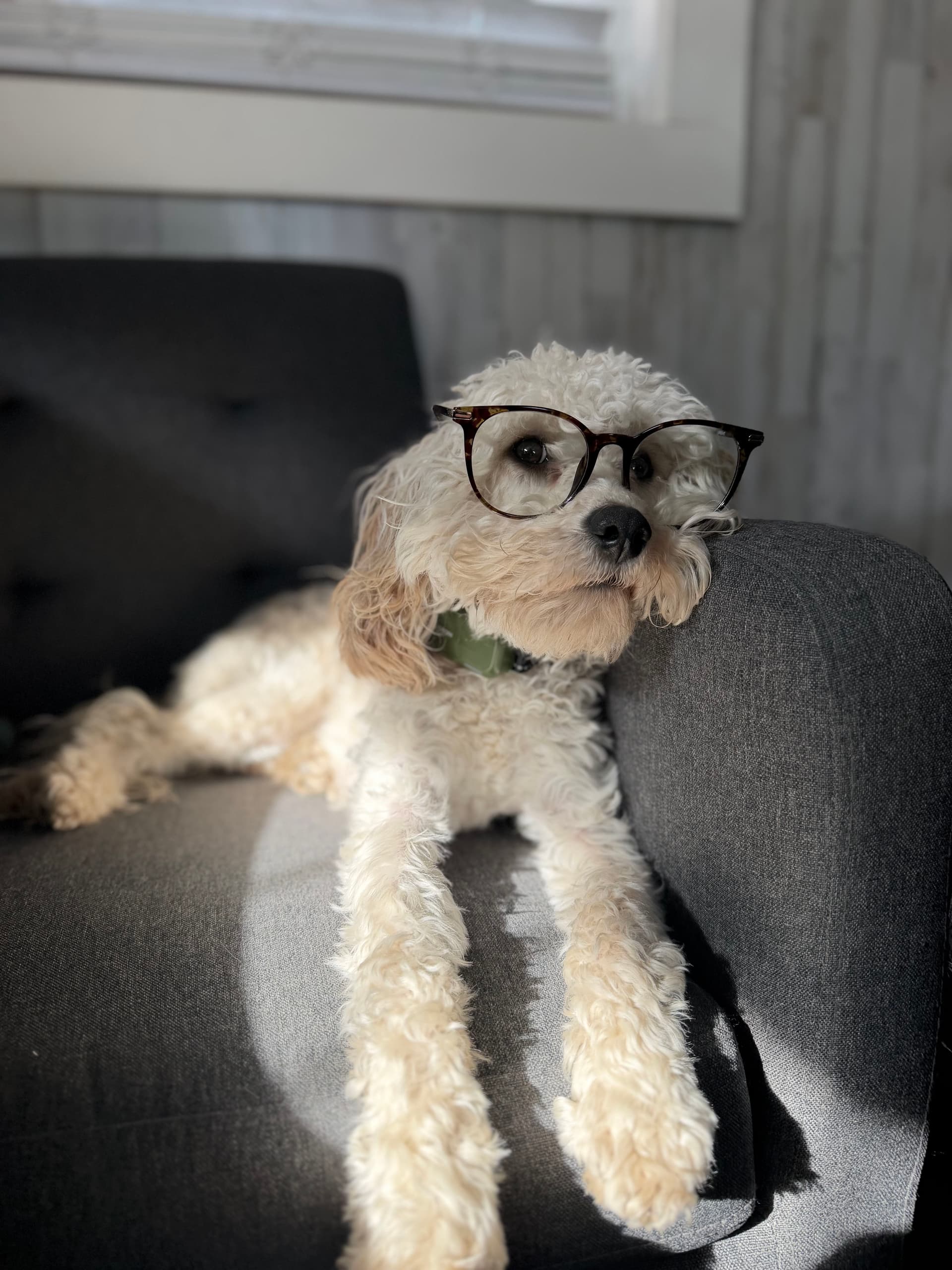 New YouTube Video Dropping Today at 5 PM image