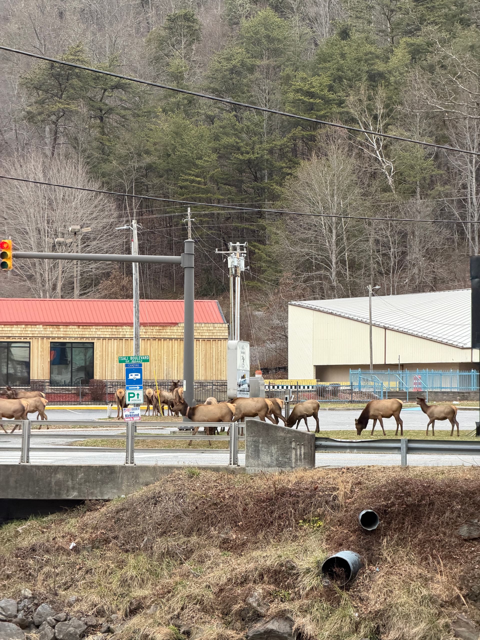 Enhancing Cherokee NC with Expert Commercial Lighting