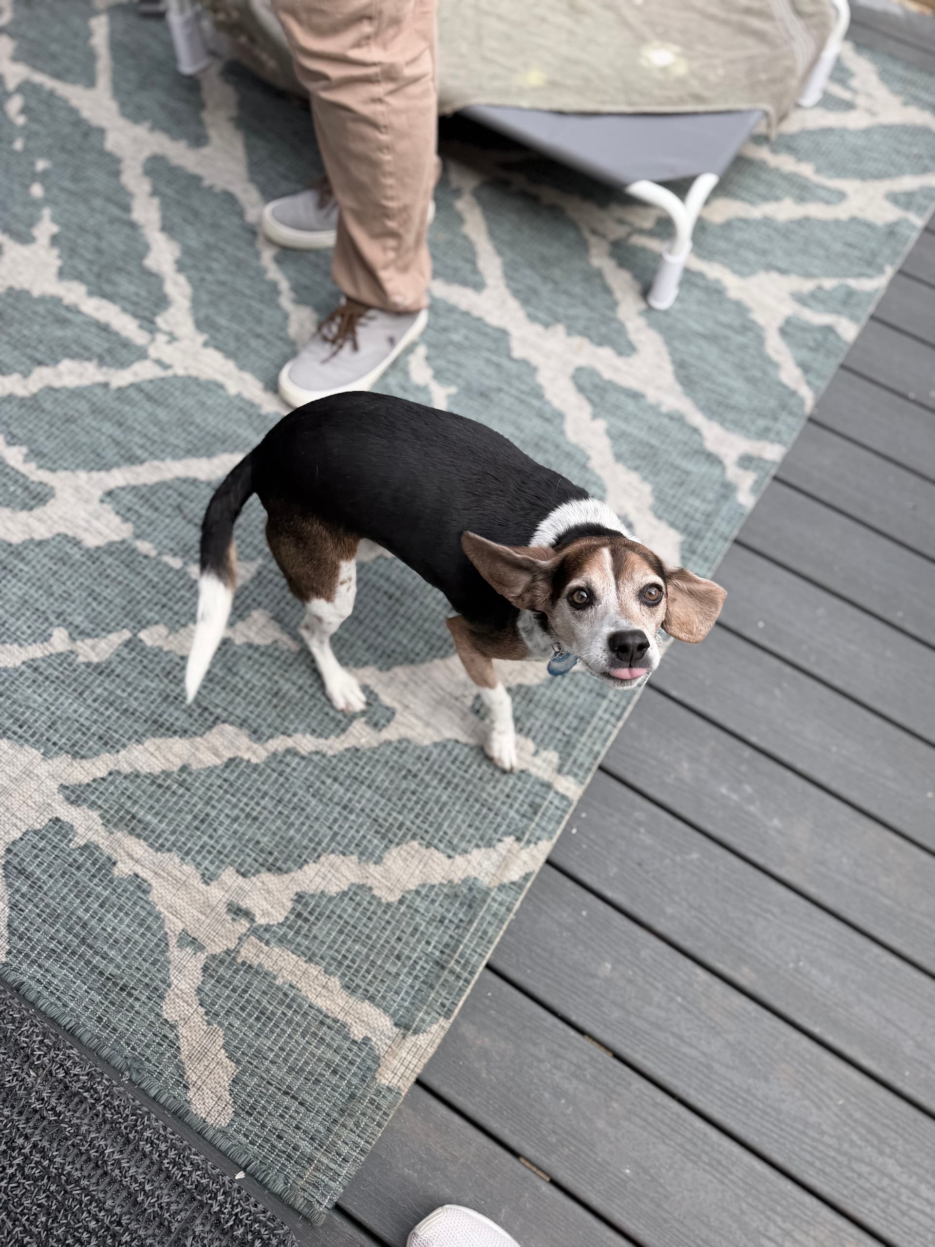 Gallery photos for Ensuring Safe and Efficient Electrical Connections in Granite Falls and Lenoir: Image #6