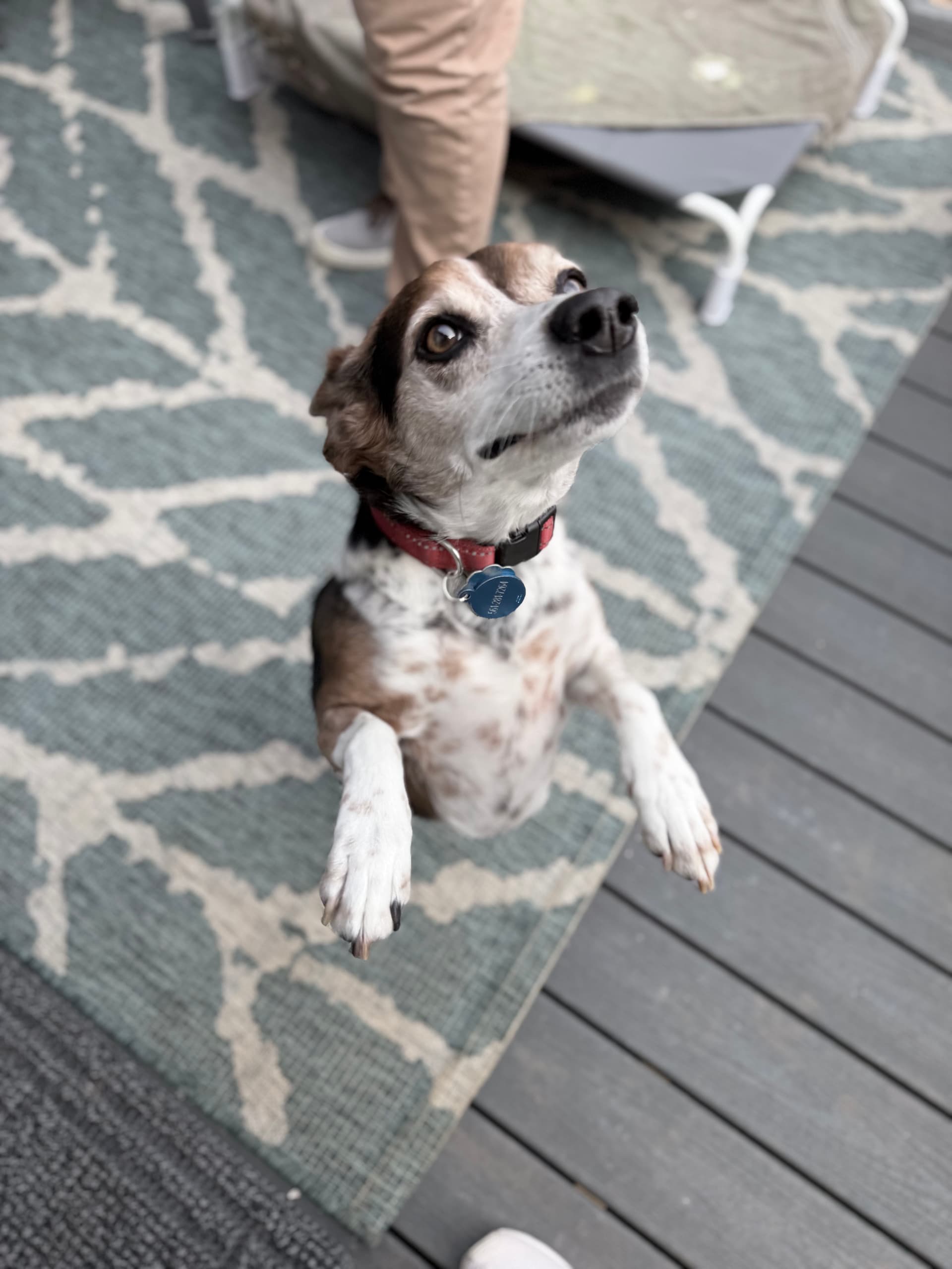 Gallery photos for Ensuring Safe and Efficient Electrical Connections in Granite Falls and Lenoir: Image #2